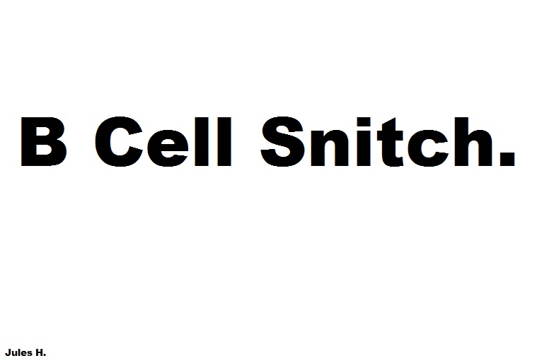 B Cell Snitch. - 1 | B Cell Snitch.