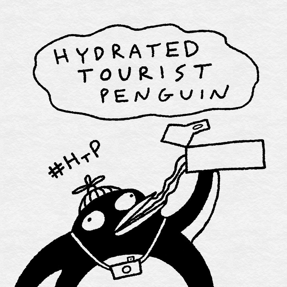 Blubber Nuggets 33 Hydrated Tourist Penguin