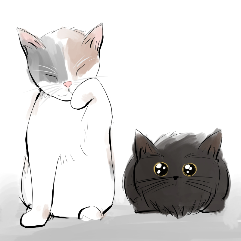 My Cute Cats | WEBTOON