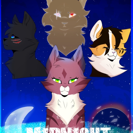 Midnight  Warrior Cats