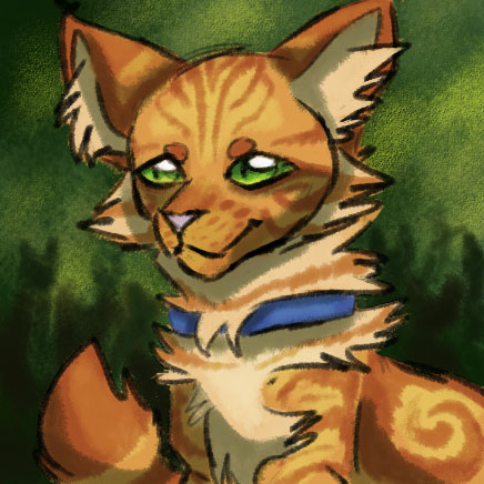 WARRIORS: into the wild old  Warrior cats, Warrior cats art, Cat character