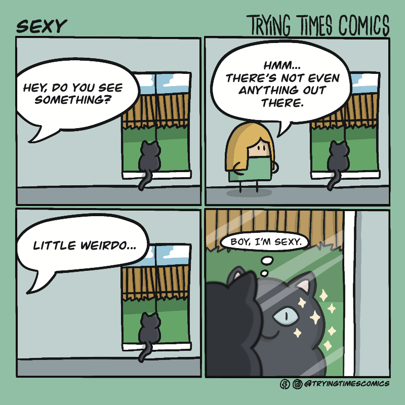 Little times перевод. Hey комикс. Chipi Chipi chapa Cat meme. Comix Hey get back to work.