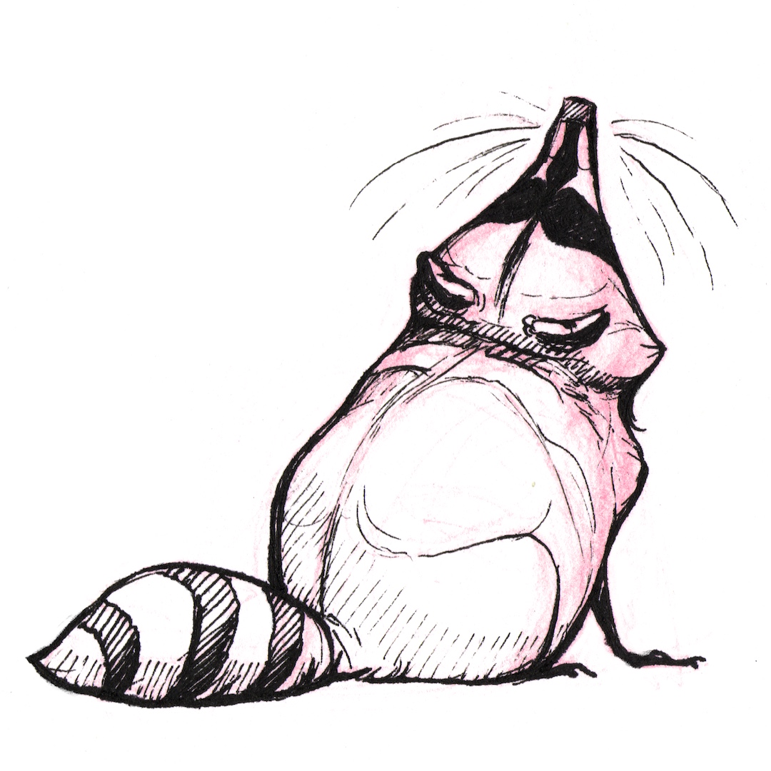 Raccoon Comic | WEBTOON