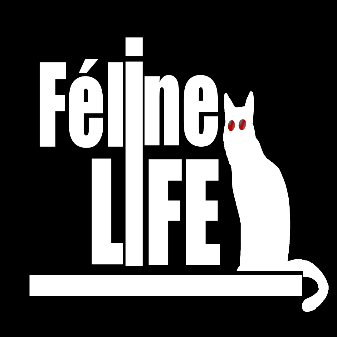 feline-life-webtoon