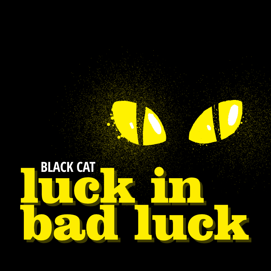 black-cat-luck-in-bad-luck-webtoon