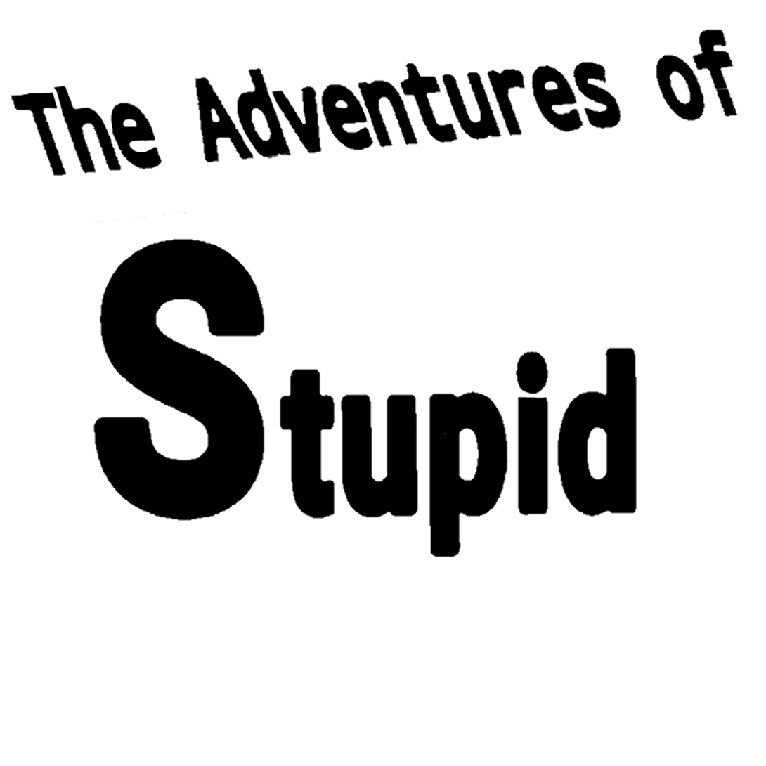 the-adventures-of-stupid-webtoon