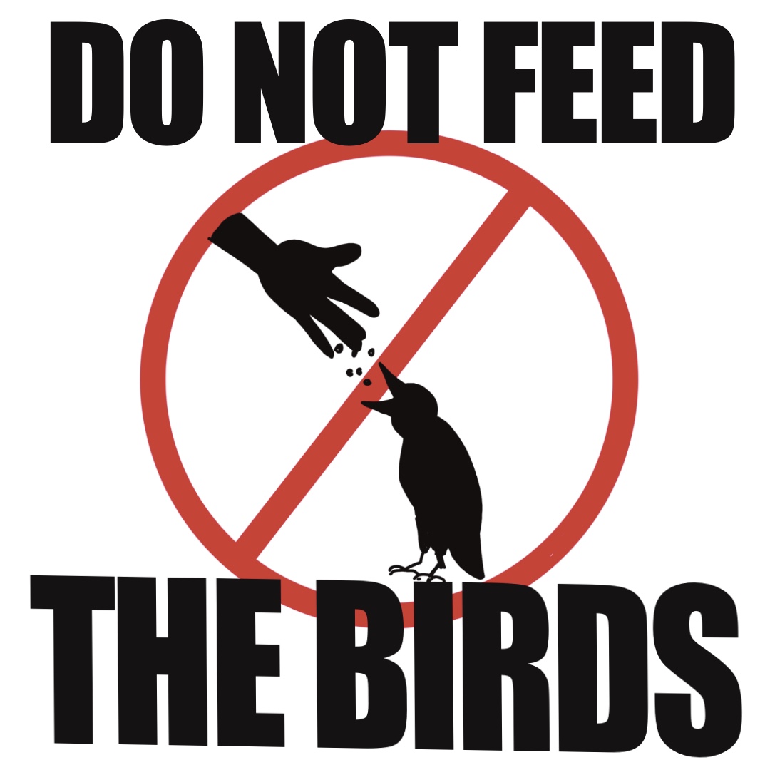 do-not-feed-the-birds-webtoon