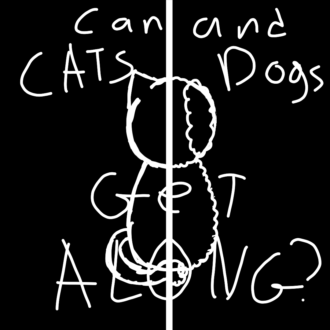 Can CATS And DOGS Get Along? WEBTOON