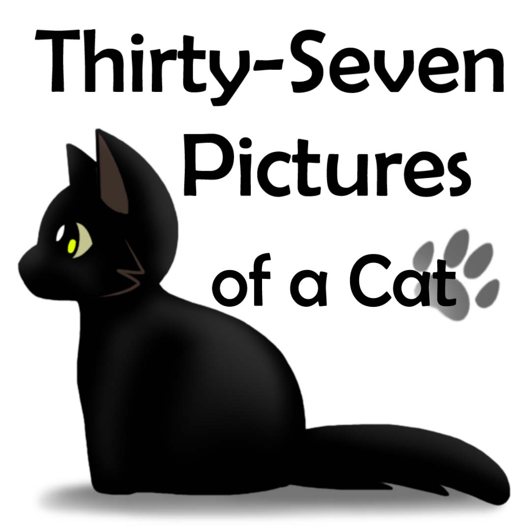 thirty-seven-pictures-of-a-cat-webtoon