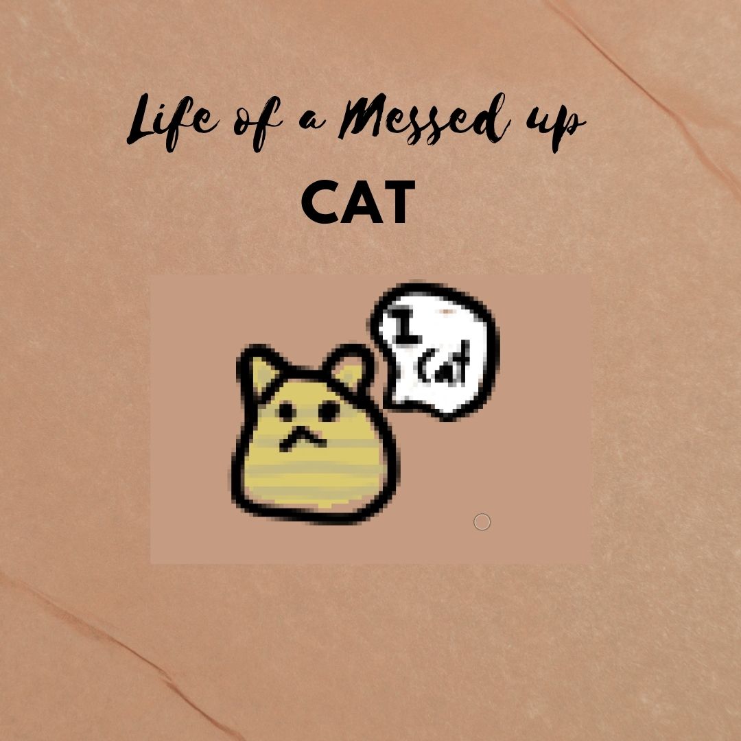 Life of a messed-up cat | WEBTOON