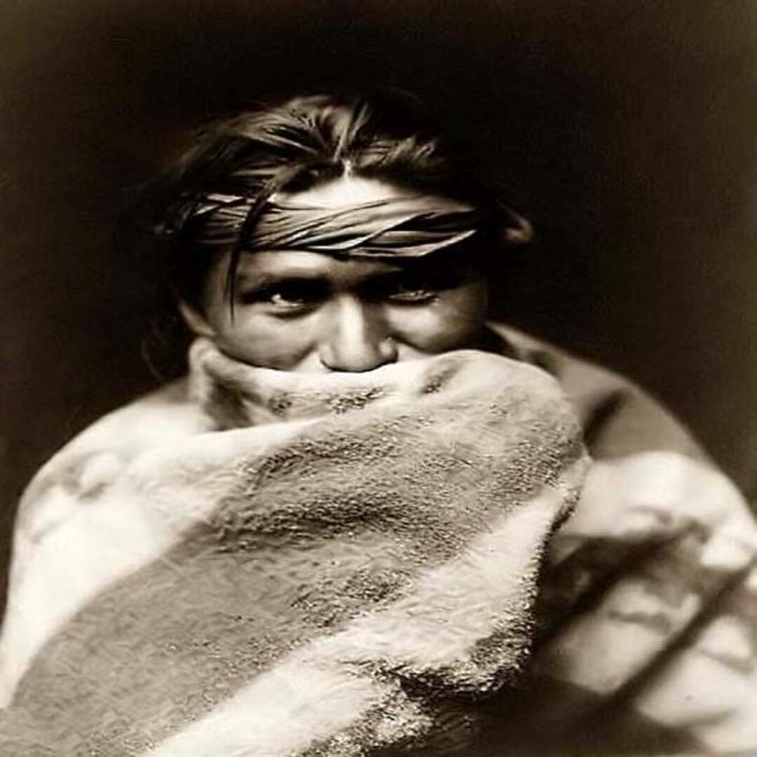 Pendleton Blankets Reviews WEBTOON