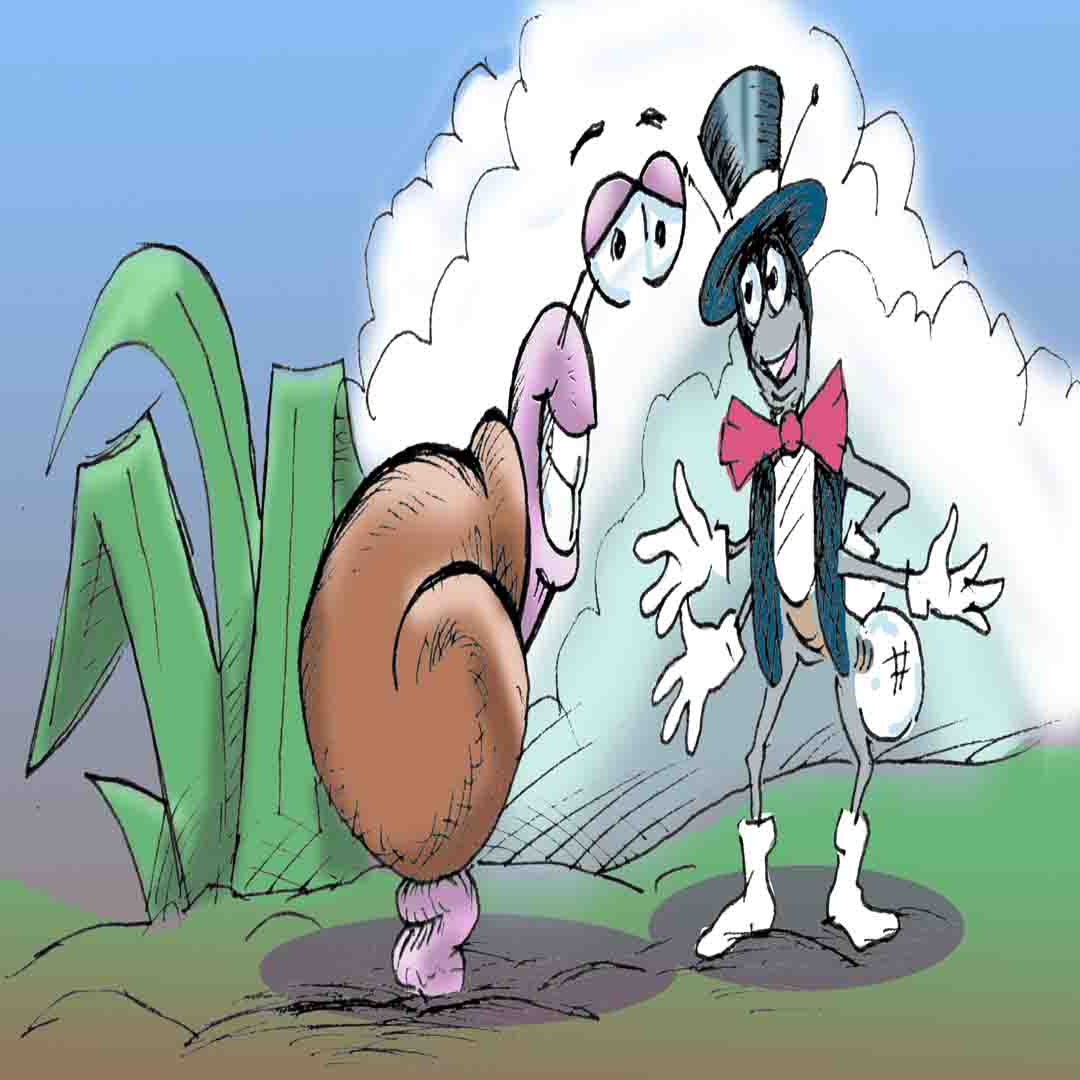 A Snail's Pace WEBTOON