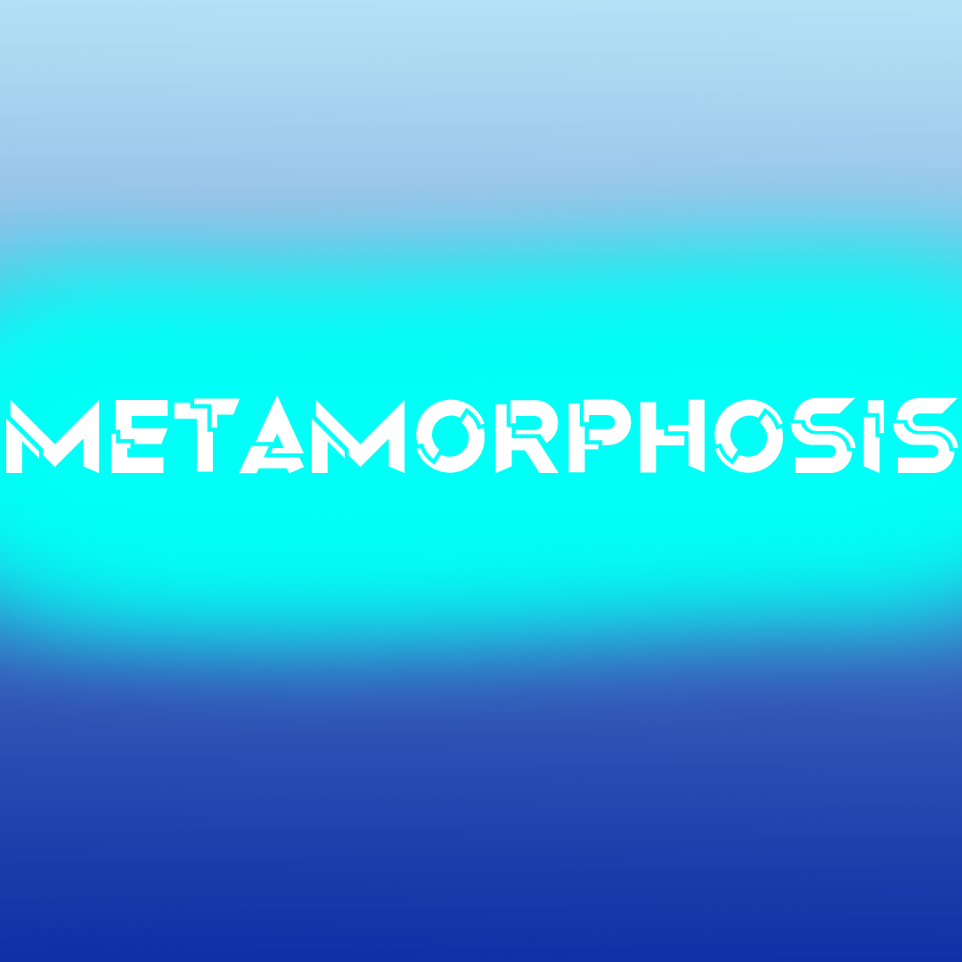 metamorphosis-webtoon