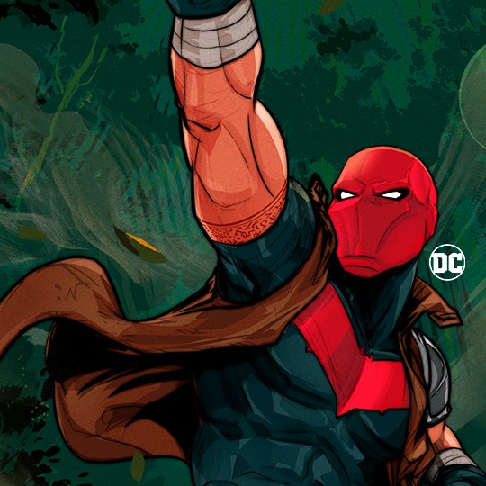 Red Hood: Outlaws |