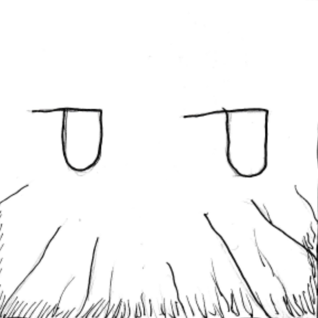 Merlin s new life webtoon