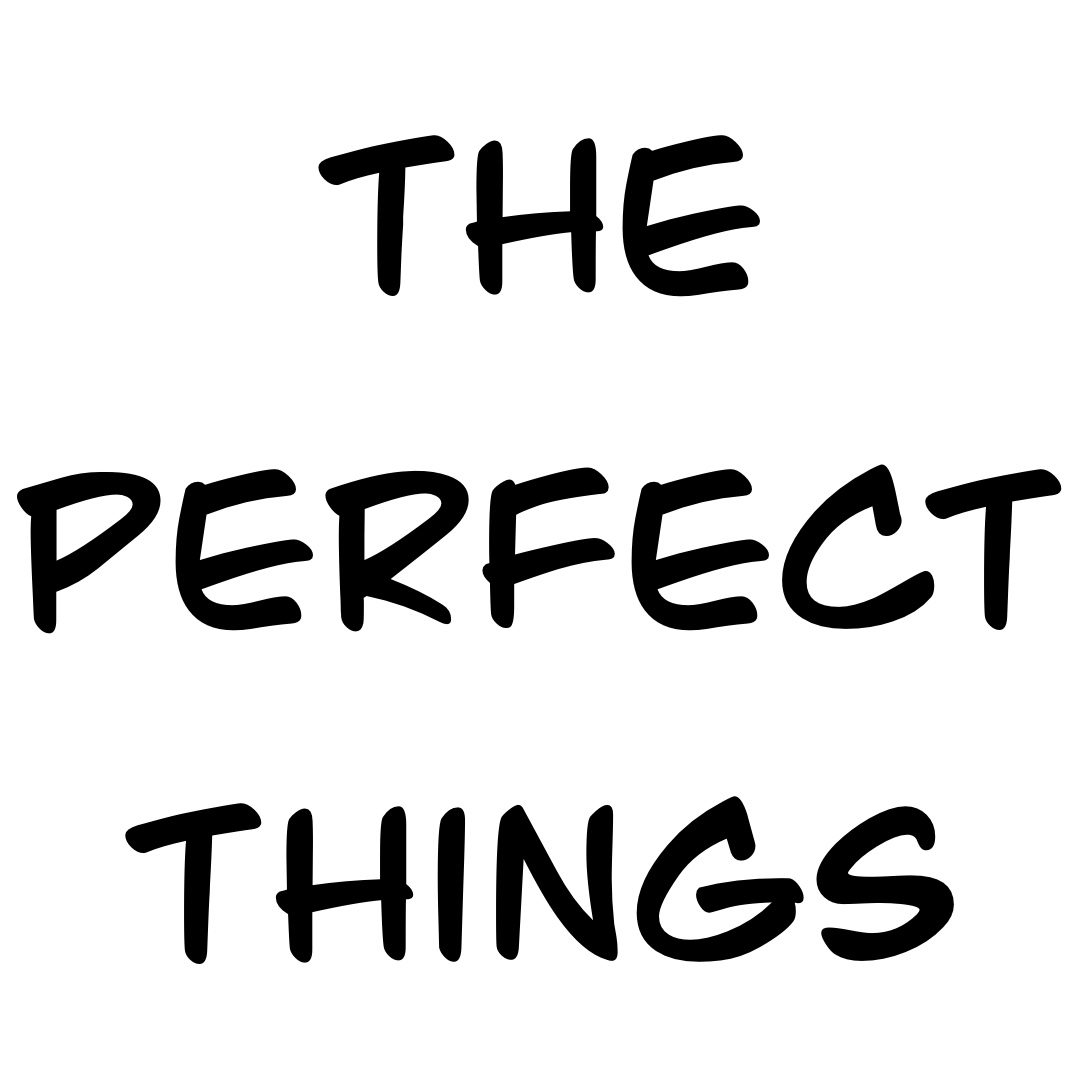 the-perfect-things-webtoon