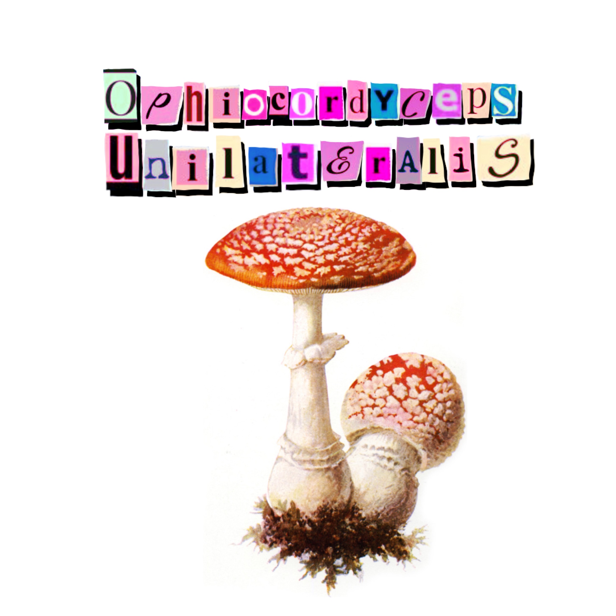 ophiocordyceps-unilateralis-webtoon