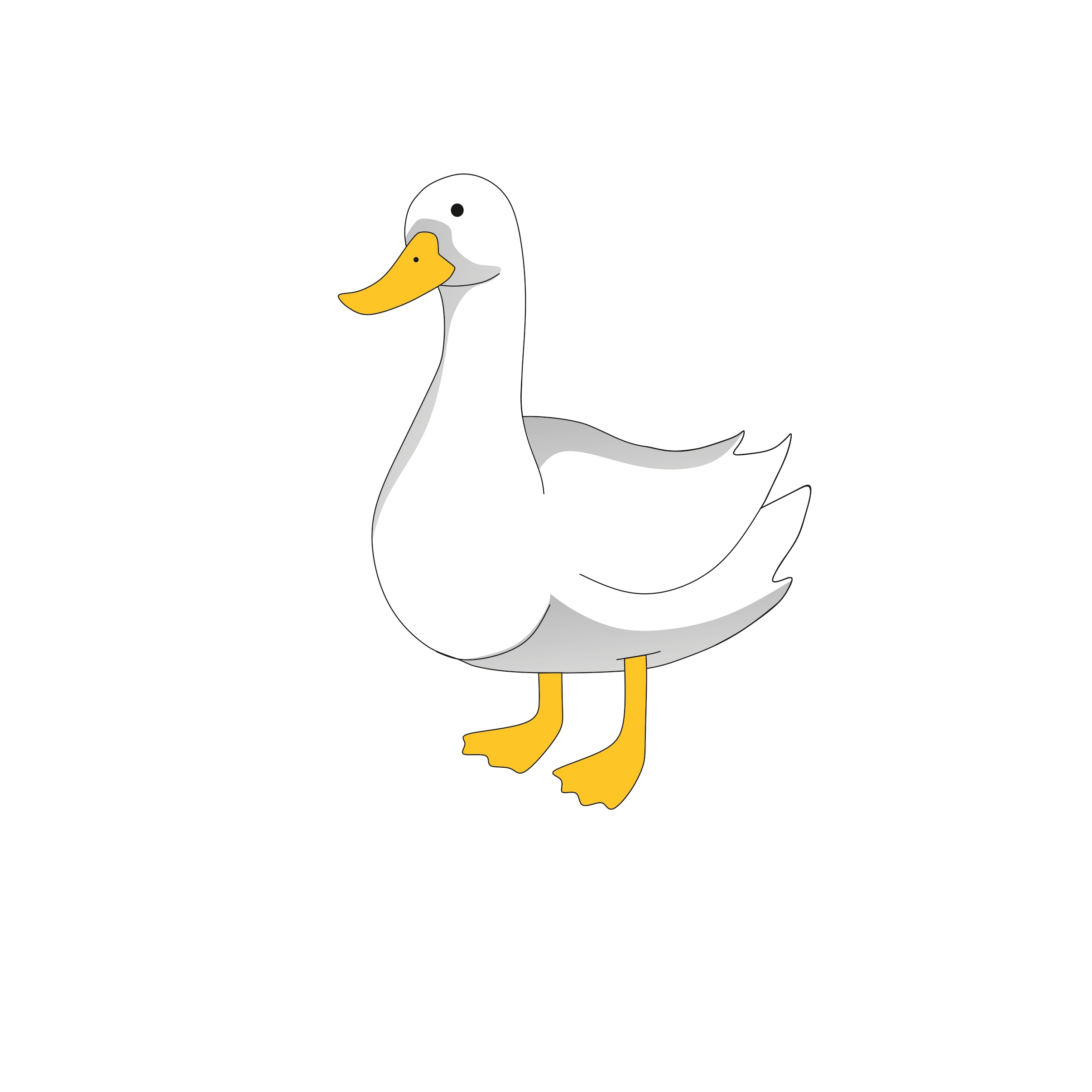 Daily duck