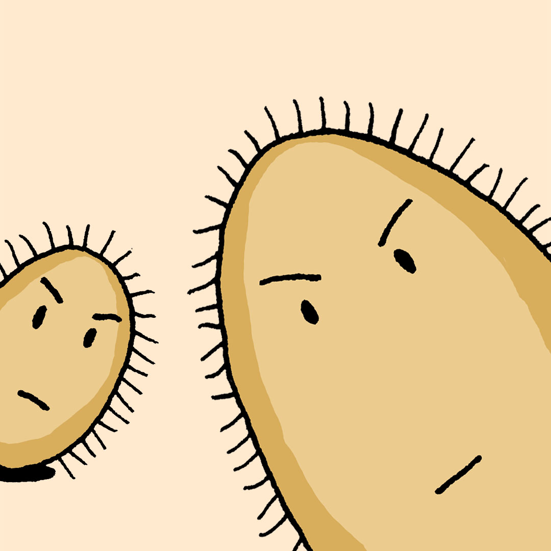 2-hairy-potatoes-webtoon