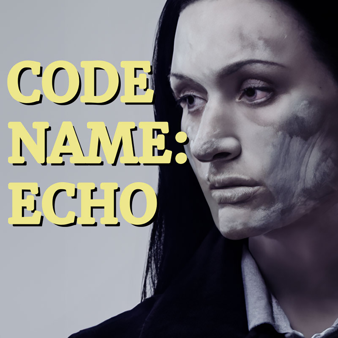 code-name-echo-webtoon