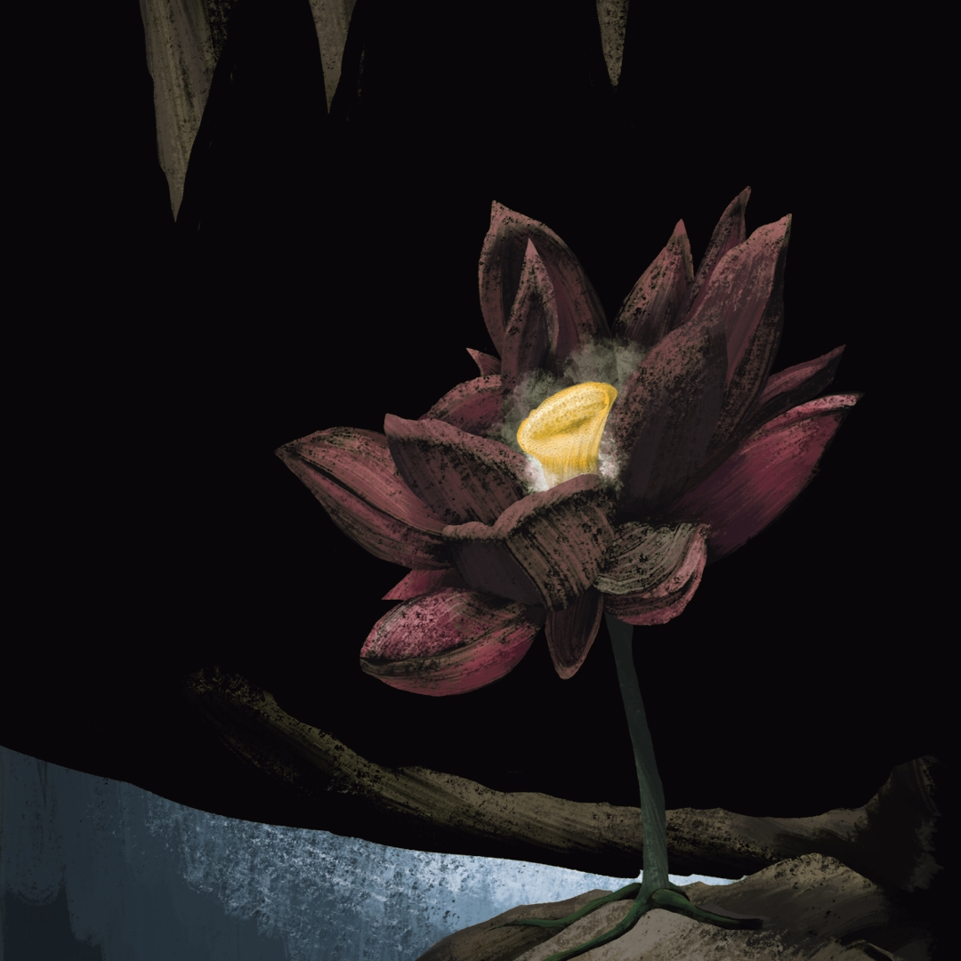 The Black Lotus | WEBTOON