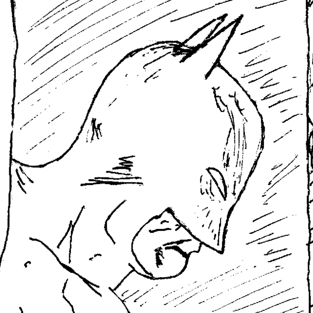 Batman: One Life | WEBTOON