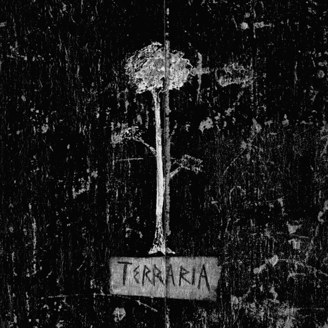 The Terraria Journal (RAW SCAN) | WEBTOON