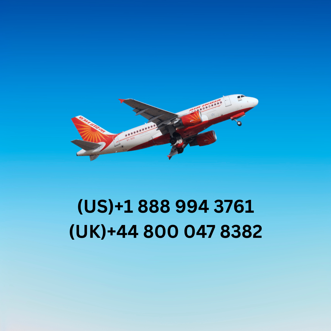 KLM Airlines Name Change policy | WEBTOON