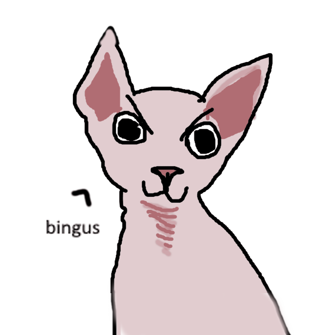 Bingus Adventure | WEBTOON